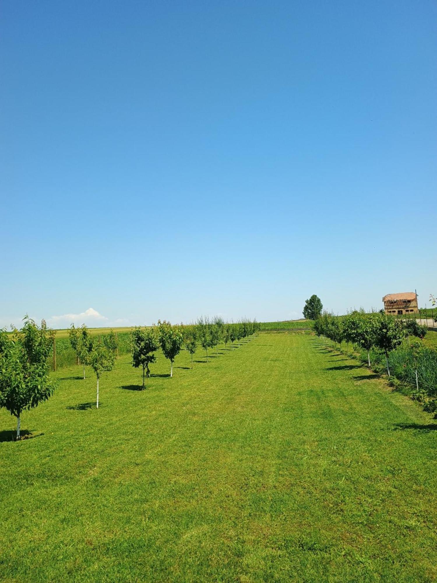 Family House Pristol Daire Dış mekan fotoğraf